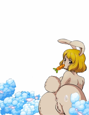 One Piece Carrot Naked Rule Rule Hq