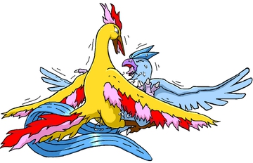 Articuno Porn